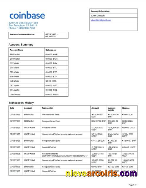 USA Coinbase account statement Word and PDF